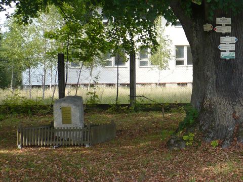 Foto 13